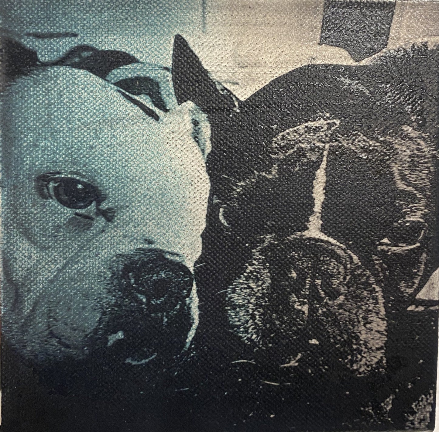 Custom Pet Photo Laser Engraved Canvas